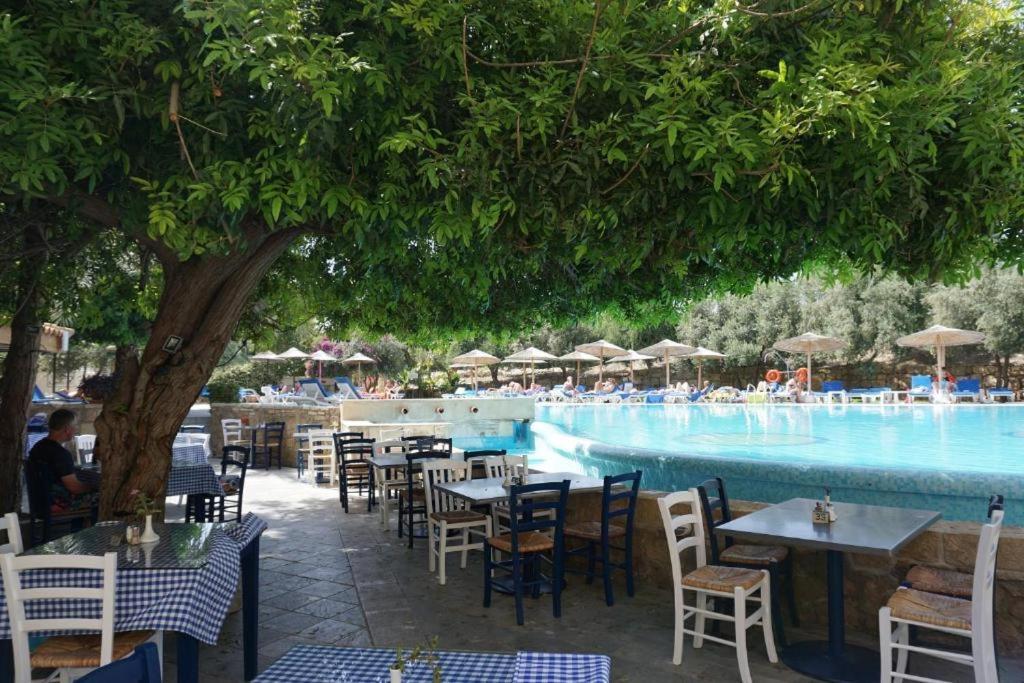 Alex'S Vacation Suite - 100M From The Beach - 6 Guests Paphos Exterior photo